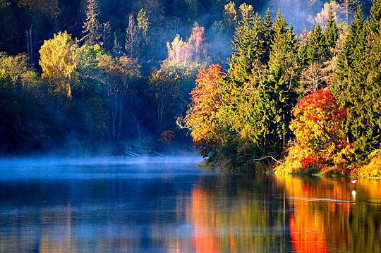 colorful fall - lake and trees on the shore